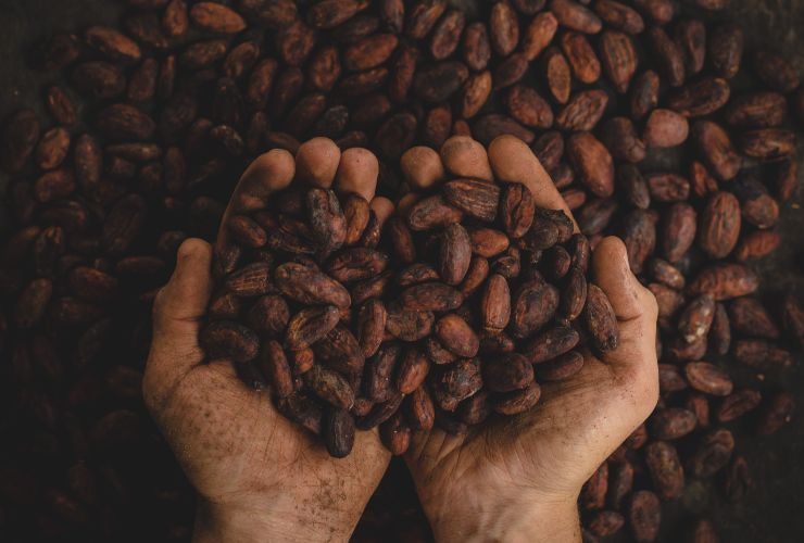 il cacao ha effetti benefici sulla memoria