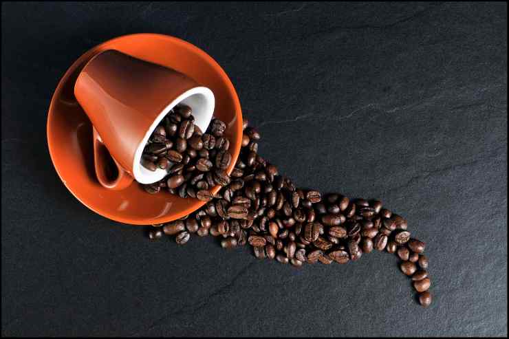 Studi scientifici dell'effetto del caffè decaffeinato sul cuore