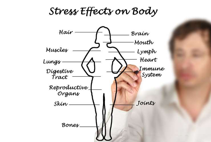 stress effetti invecchiamento studio Usa