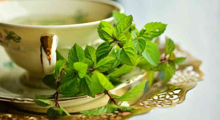 Il tè verde è ricco di fitoestrogeni