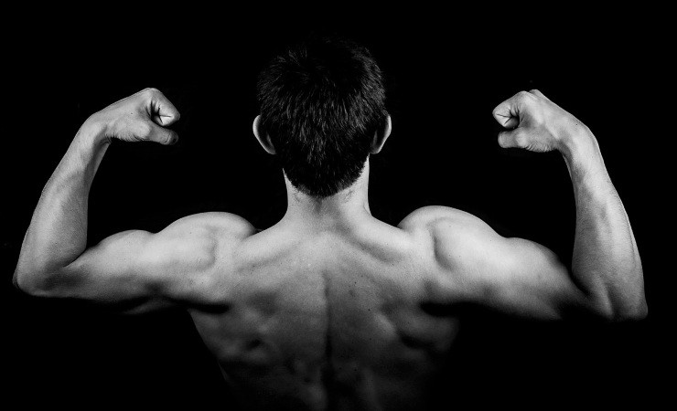 Crescita muscolare: le quattro variabili da tenere in considerazione