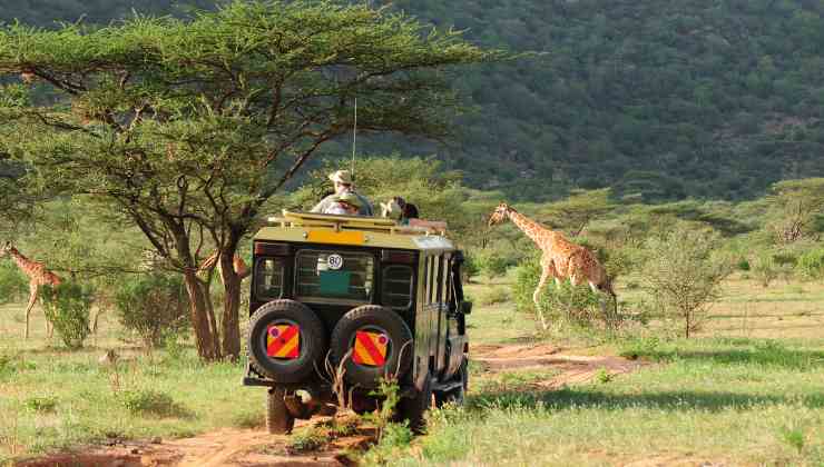 dove fare un safari